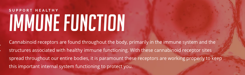 CBD Receptors and the Immune System