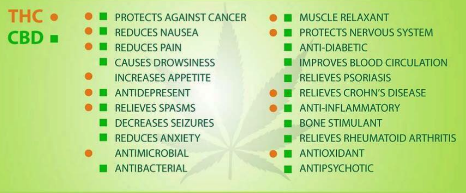 Cannabidiol (CBD): Uses, Dosages, Side Effects, Interactions