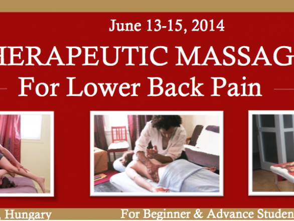 Lower Back Pain Budapest 2014