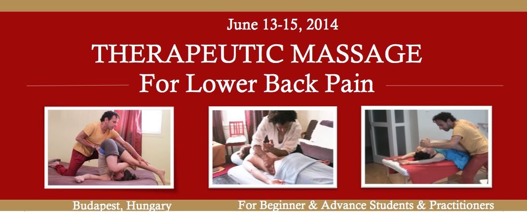 Lower Back Pain Budapest 2014
