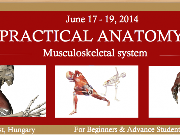 Practical Anatomy for Budapest June 2014