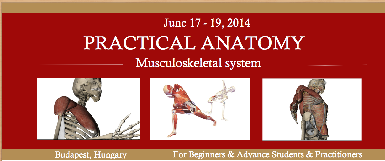 Practical Anatomy for Budapest June 2014